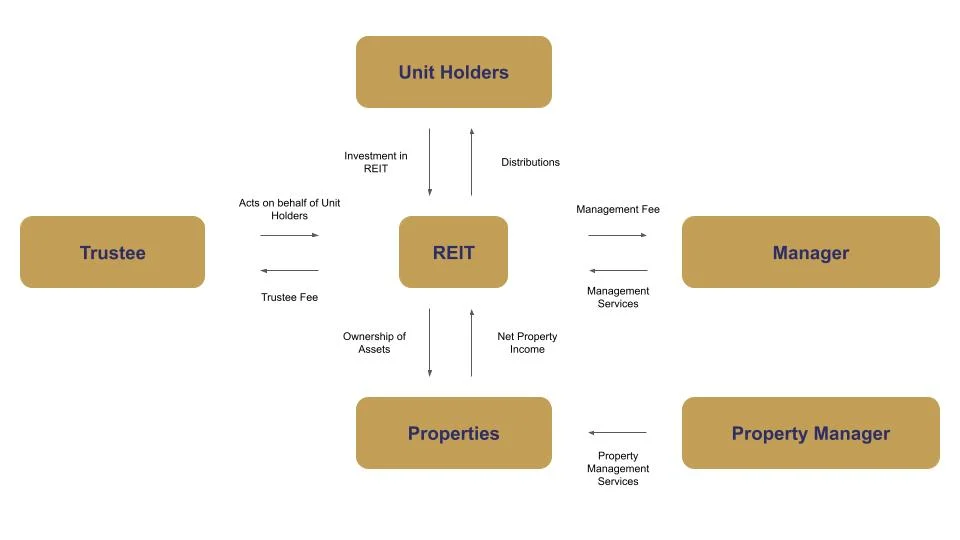 dividend and reit income flow diagram dividend and REIT passive income flow for Canadian investors